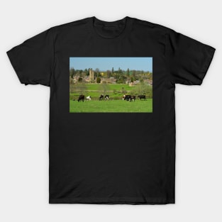 Montacute T-Shirt